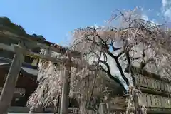 大石神社(京都府)