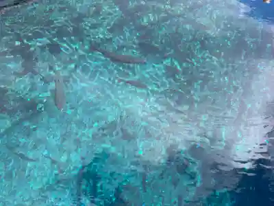 淺間神社（忍野八海）の周辺