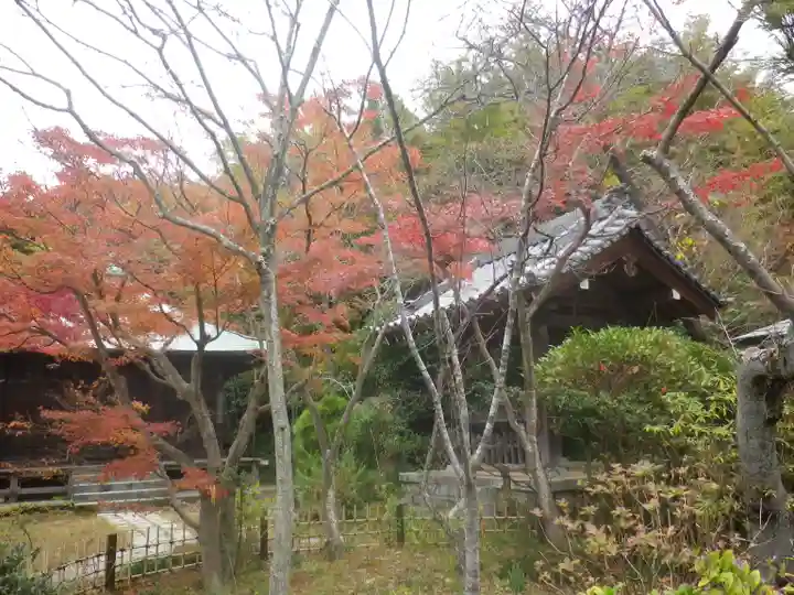 浄光明寺の自然