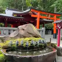 九頭龍神社新宮(神奈川県)