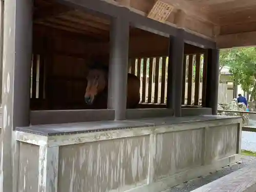 伊勢神宮内宮（皇大神宮）(三重県)