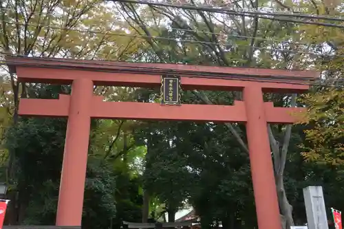 世田谷八幡宮(東京都)