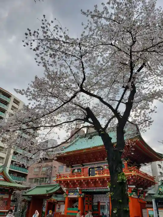 神田神社(神田明神)の自然