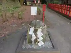 談山神社の自然