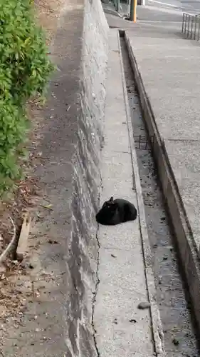 覚王山 日泰寺の動物