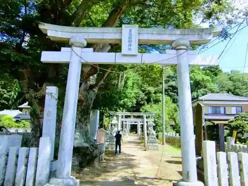 素鵞熊野神社の鳥居