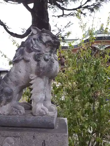 今戸神社の狛犬