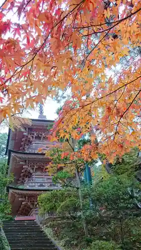 岩殿山安楽寺（吉見観音）の塔