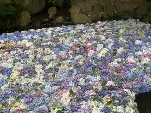 楽法寺（雨引観音）の庭園