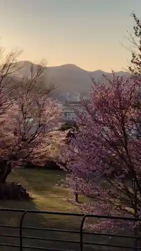 相馬神社の自然