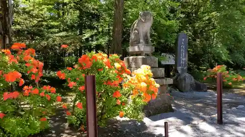 比布神社の狛犬