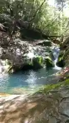 龍鎮神社の自然