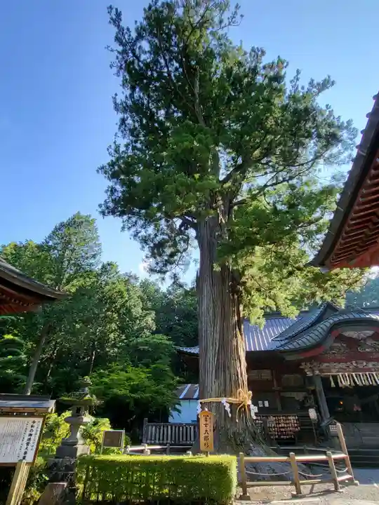 北口本宮冨士浅間神社(山梨県)