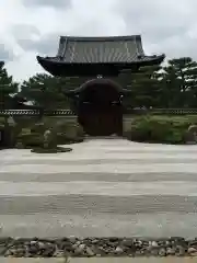 建仁寺（建仁禅寺）の庭園