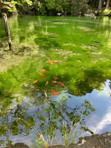 涌釜神社(栃木県)
