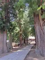 河口浅間神社(山梨県)