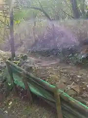 石鎚神社 中宮 成就社(愛媛県)