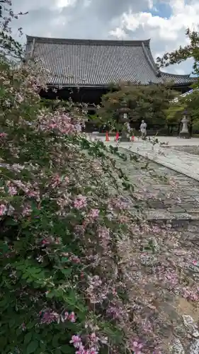 真正極楽寺（真如堂）(京都府)