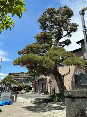 本成寺の{uncategorized: "未分類", other: "その他", undefined: "問題あり", building: "その他建物", grave: "お墓", sacred_gate: "鳥居", guardian: "狛犬", statue: "像", buddha: "仏像", history: "歴史", nature: "自然", garden: "庭園", animal: "動物", pagoda: "塔", temizu: "手水舎", mountain_gate: "山門・神門", sanctuary: "本殿・本堂", subordinate: "末社・摂社", art: "芸術", scenery: "景色", jizo: "地蔵", ema: "絵馬", goshuin: "御朱印", omikuji: "おみくじ", items: "授与品その他", amulet: "お守り", goshuincho: "御朱印帳", eats: "食事", festival: "お祭り", votive_dance: "神楽", shichigosan: "七五三参", wedding: "結婚式", experience: "体験その他", initially: "初詣", around: "周辺", anti_infection: "感染症対策"}
