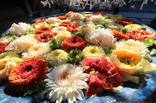 行田八幡神社(埼玉県)