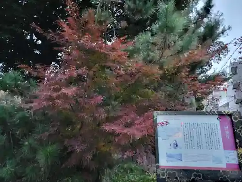 三囲神社の自然