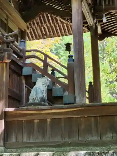 春日神社の狛犬