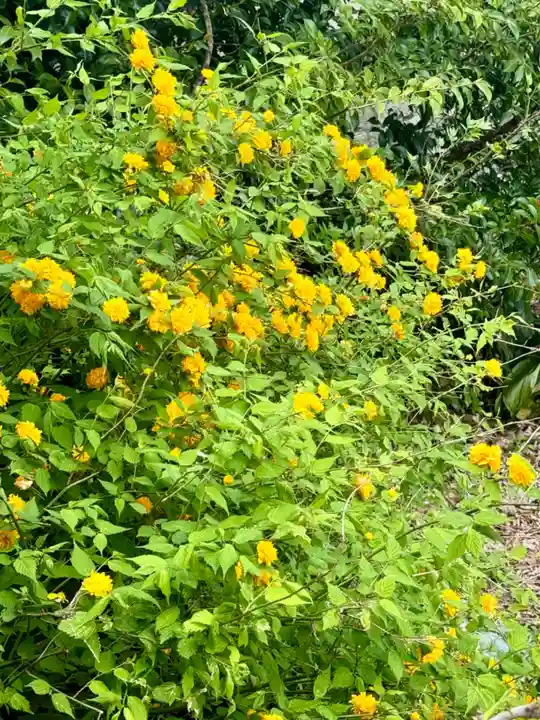 玉田神社(京都府)