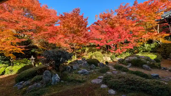 源光庵(京都府)