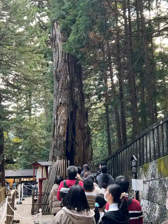 日光東照宮(栃木県)