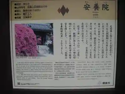 安養院　(田代寺）の歴史