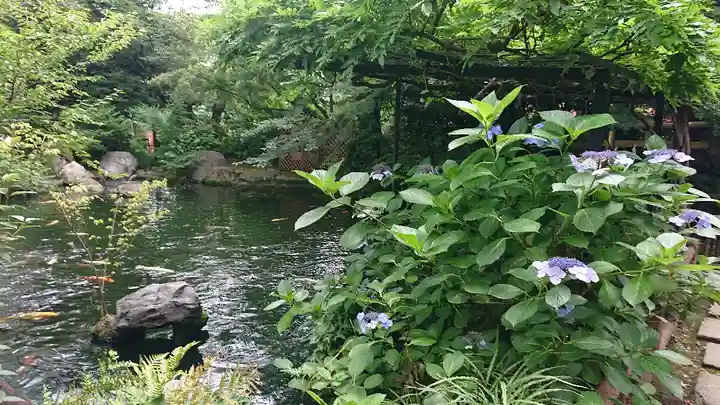 愛宕神社の自然