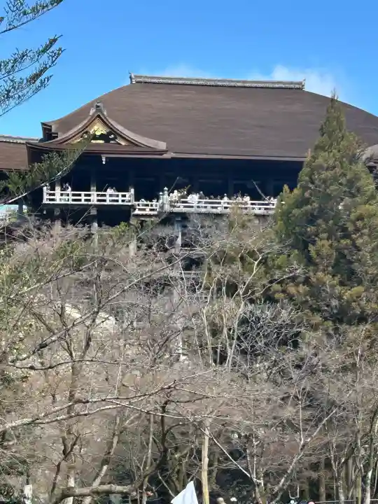 清水寺の{uncategorized: "未分類", other: "その他", undefined: "問題あり", building: "その他建物", grave: "お墓", sacred_gate: "鳥居", guardian: "狛犬", statue: "像", buddha: "仏像", history: "歴史", nature: "自然", garden: "庭園", animal: "動物", pagoda: "塔", temizu: "手水舎", mountain_gate: "山門・神門", sanctuary: "本殿・本堂", subordinate: "末社・摂社", art: "芸術", scenery: "景色", jizo: "地蔵", ema: "絵馬", goshuin: "御朱印", omikuji: "おみくじ", items: "授与品その他", amulet: "お守り", goshuincho: "御朱印帳", eats: "食事", festival: "お祭り", votive_dance: "神楽", shichigosan: "七五三参", wedding: "結婚式", experience: "体験その他", initially: "初詣", around: "周辺", anti_infection: "感染症対策"}