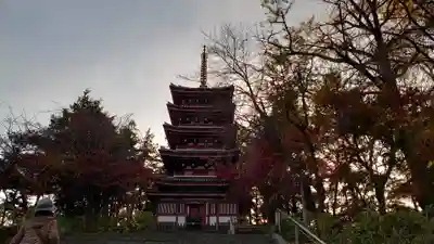 本土寺の塔