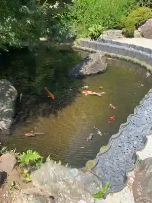 報国寺(神奈川県)