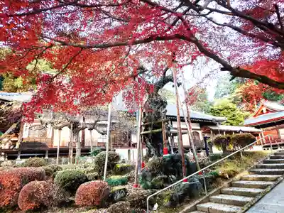 馬頭院(栃木県)