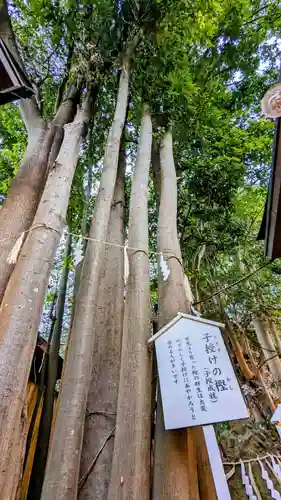 検見川神社の自然