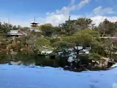 仁和寺の庭園