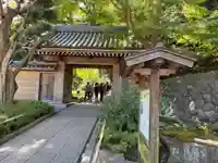 報国寺(神奈川県)