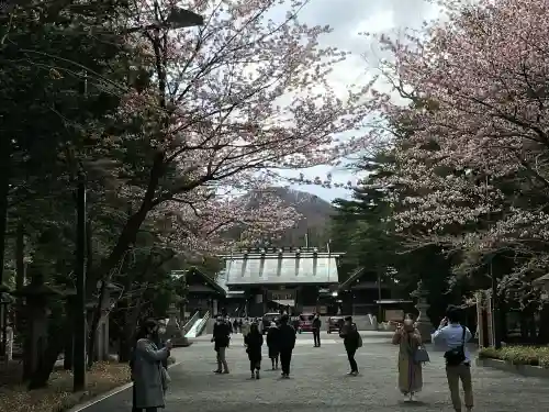 北海道神宮(北海道)