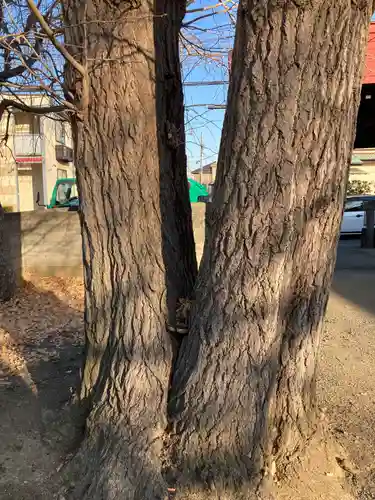 貞性寺(神奈川県)