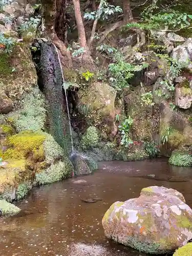 慈照寺（慈照禅寺・銀閣寺）の庭園