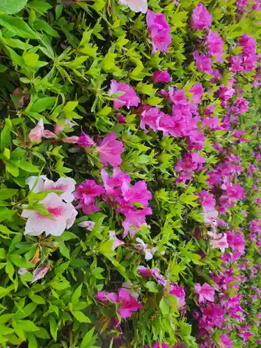 常陸国出雲大社(茨城県)