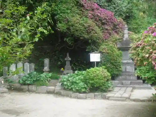 安養院　(田代寺）の自然