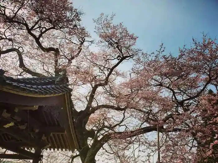 清水寺の建物その他