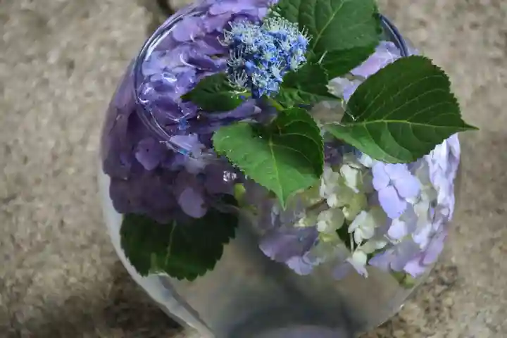 滑川神社 - 仕事と子どもの守り神の手水舎