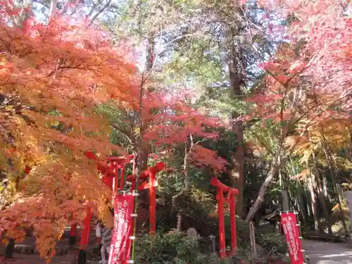 目の霊山　油山寺の鳥居