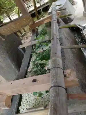 賀茂別雷神社(上賀茂神社)の手水舎