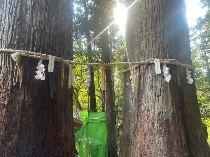丹生川上神社(中社)の{uncategorized: "未分類", other: "その他", undefined: "問題あり", building: "その他建物", grave: "お墓", sacred_gate: "鳥居", guardian: "狛犬", statue: "像", buddha: "仏像", history: "歴史", nature: "自然", garden: "庭園", animal: "動物", pagoda: "塔", temizu: "手水舎", mountain_gate: "山門・神門", sanctuary: "本殿・本堂", subordinate: "末社・摂社", art: "芸術", scenery: "景色", jizo: "地蔵", ema: "絵馬", goshuin: "御朱印", omikuji: "おみくじ", items: "授与品その他", amulet: "お守り", goshuincho: "御朱印帳", eats: "食事", festival: "お祭り", votive_dance: "神楽", shichigosan: "七五三参", wedding: "結婚式", experience: "体験その他", initially: "初詣", around: "周辺", anti_infection: "感染症対策"}