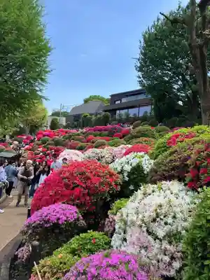 根津神社(東京都)