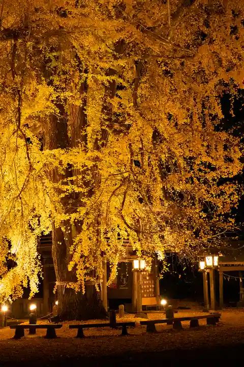 今宮神社(栃木県)